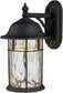 Elk Lighting Lapuente 1-Light LED 14'' Outdoor Wall Sconce Matte Black with Transparent Glass 422601