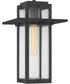 Randall Small 1-light Mini Pendant Mottled Black