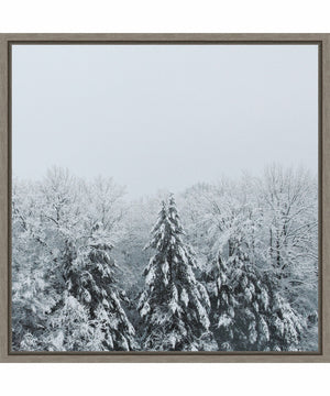 Framed Snowshoe Hill and Trees by Sue Schlabach Canvas Wall Art Print (22  W x 22  H), Sylvie Greywash Frame