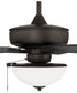 60" Outdoor Super Pro 211 2-Light Indoor/Outdoor Ceiling Fan Espresso