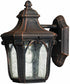 Hinkley Trafalgar 1-Light Outdoor Wall Lantern Mocha 1316MO