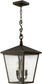 Hinkley Trellis 3-Light Outdoor Hanging Lantern Regency Bronze 1432RB