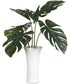 Muse Monstera White Vase Centerpiece