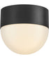 Bardi 1-Light Small Flush Mount in Black