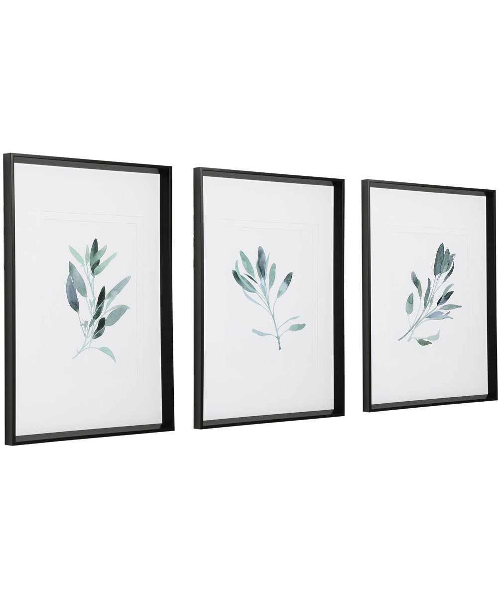 Simple Sage Watercolor Prints Set of 3