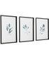 Simple Sage Watercolor Prints Set of 3