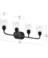 Ilia 4-Light Bath Vanity with Clear Glass Shade Matte Black