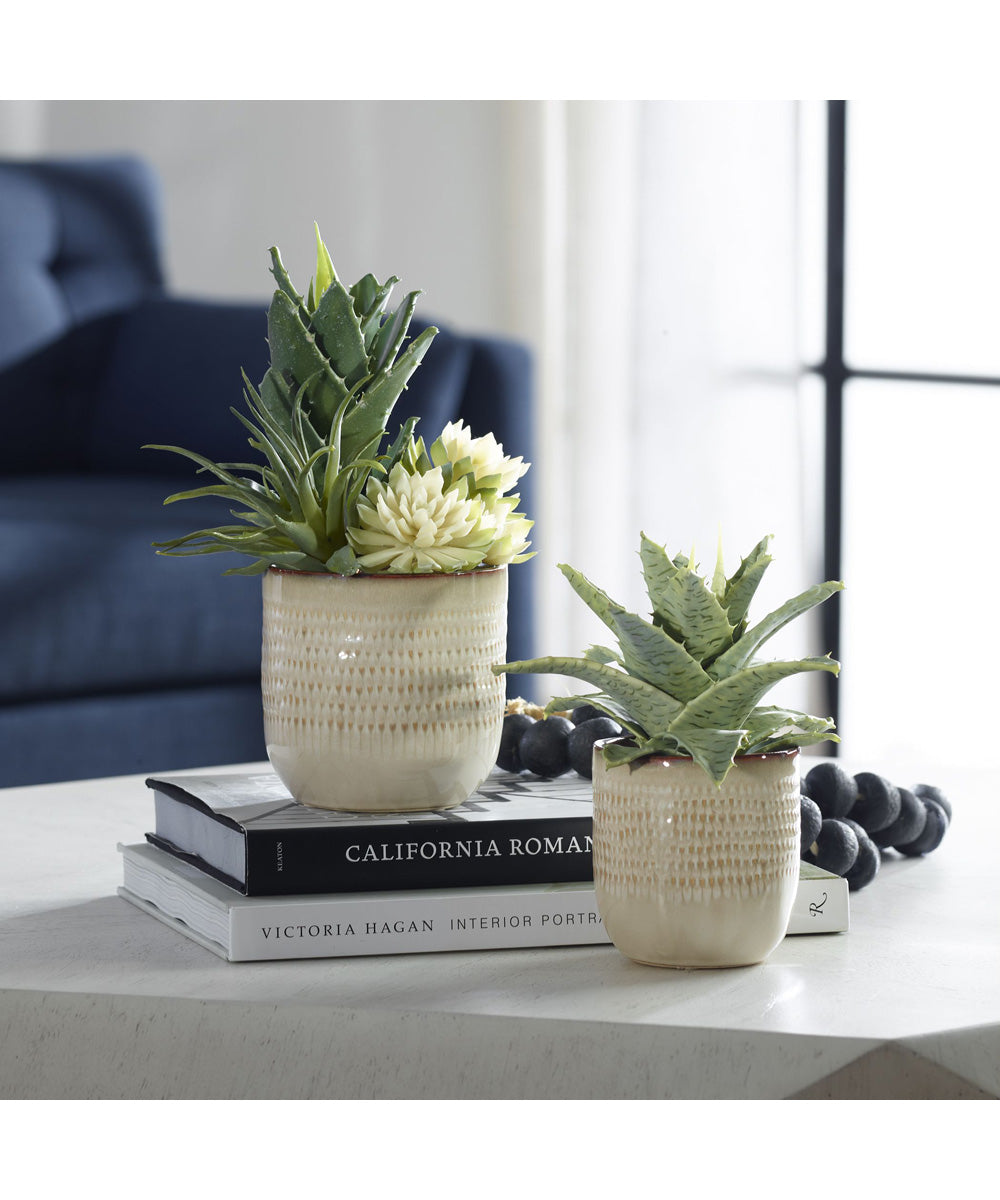 Seaside Succulents, Set of 2