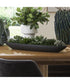 Verde Succulent Centerpiece In Bowl