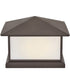 Walter 2-Light Large Pier Mount Lantern in Textured Oil Rubbed Bronze
