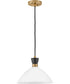 Simon 1-Light Medium Single Light Convertible Pendant in Black