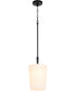 Goodwin Pendant Matte Black