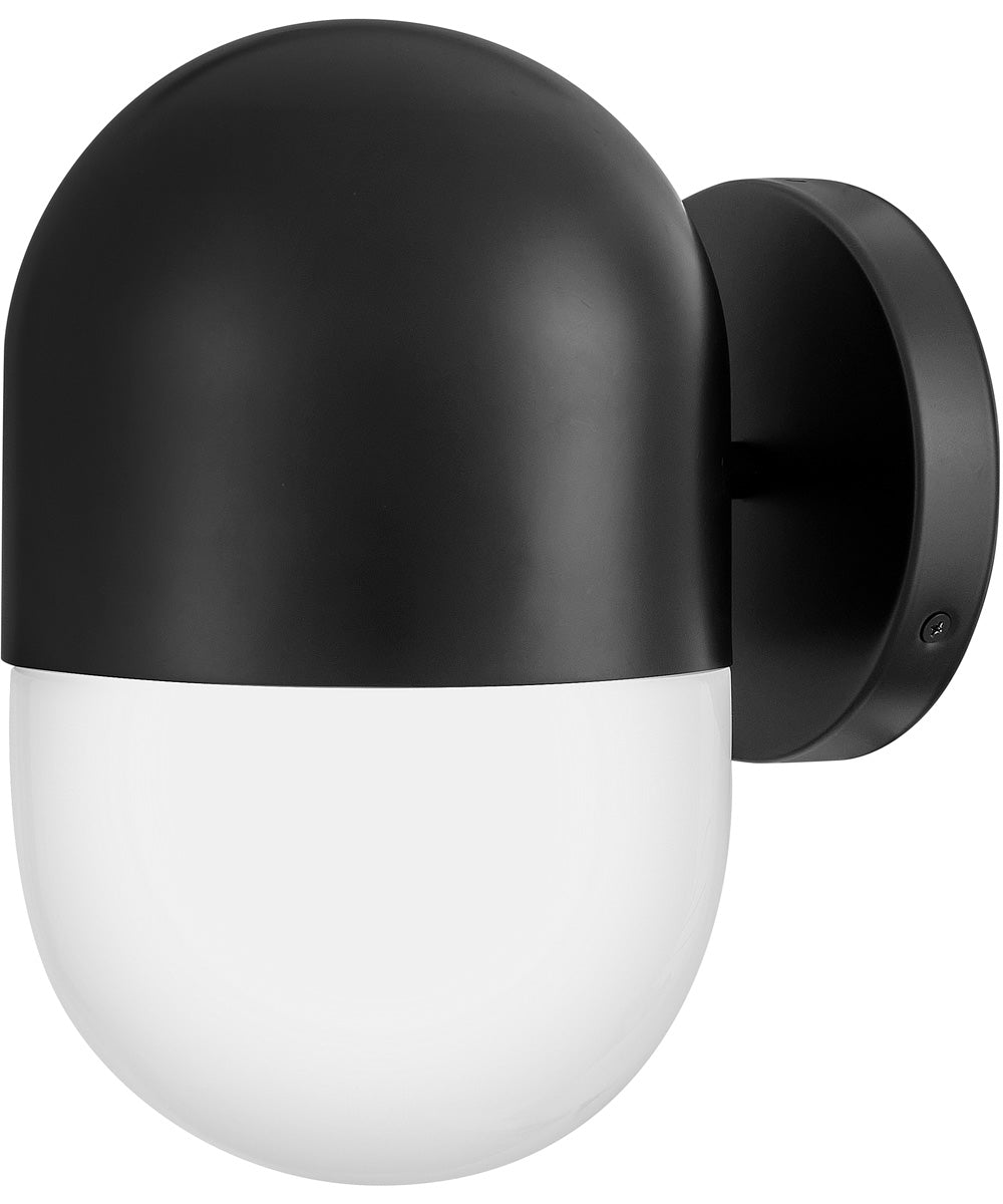 Bardi 1-Light Small Wall Mount Lantern in Black
