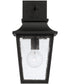 Chandler 1-Light Outdoor Wall-Lantern Black