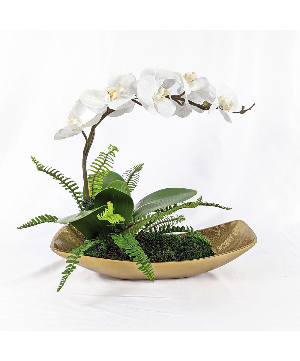 Transcend Orchid Centerpiece