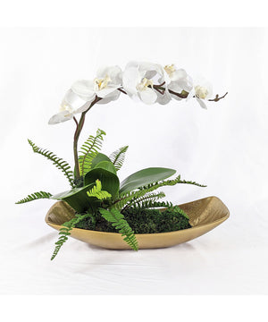 Transcend Orchid Centerpiece
