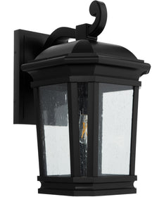 Murphy 1-light Outdoor Wall Lantern Matte Black