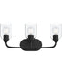 Ilia 3-Light Bath Vanity with Clear Glass Shade Matte Black