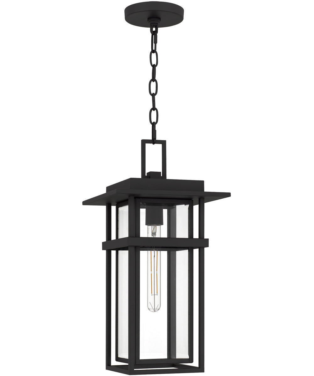 Morgan 1-light Outdoor Pendant Light Earth Black