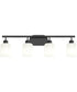 Reines 4-Light Bath Vanity with Opal Glass Shades Matte Black
