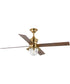 Gillen 56" 4-Blade LED Indoor/Outdoor Vintage Electric Ceiling Fan with Light Kit Clear Glass Shade Vintage Brass