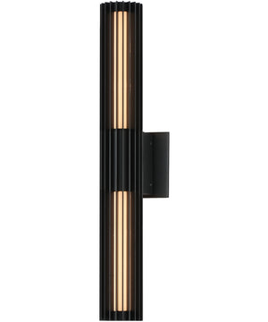 Citadel 24 inch LED Outdoor wall sconce Black