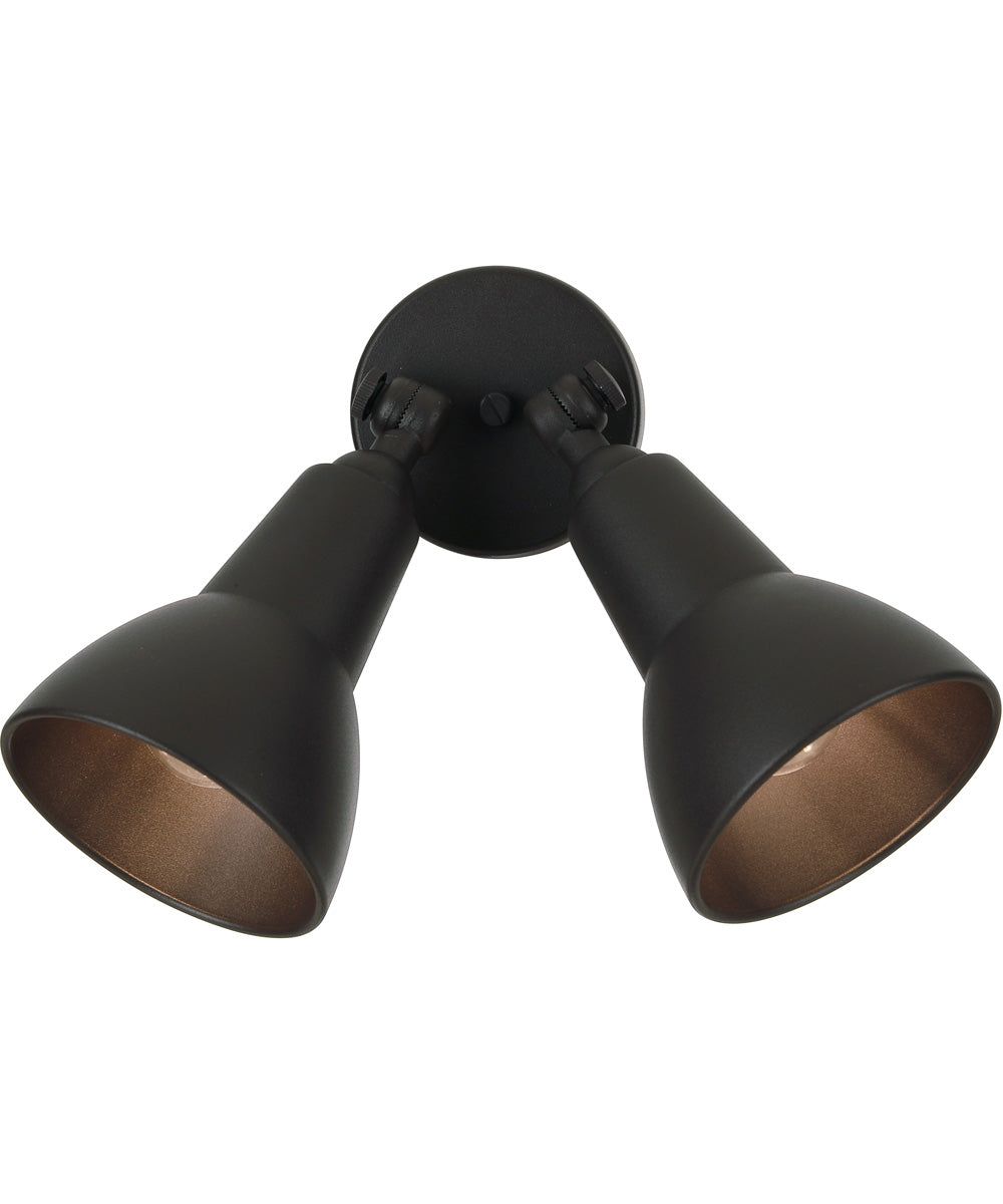 Flood Light 2-Light Outdoor Lighting Dark Textured Bronze