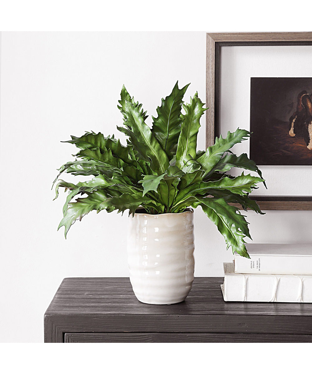 Verdure Fern In Glazed Pot