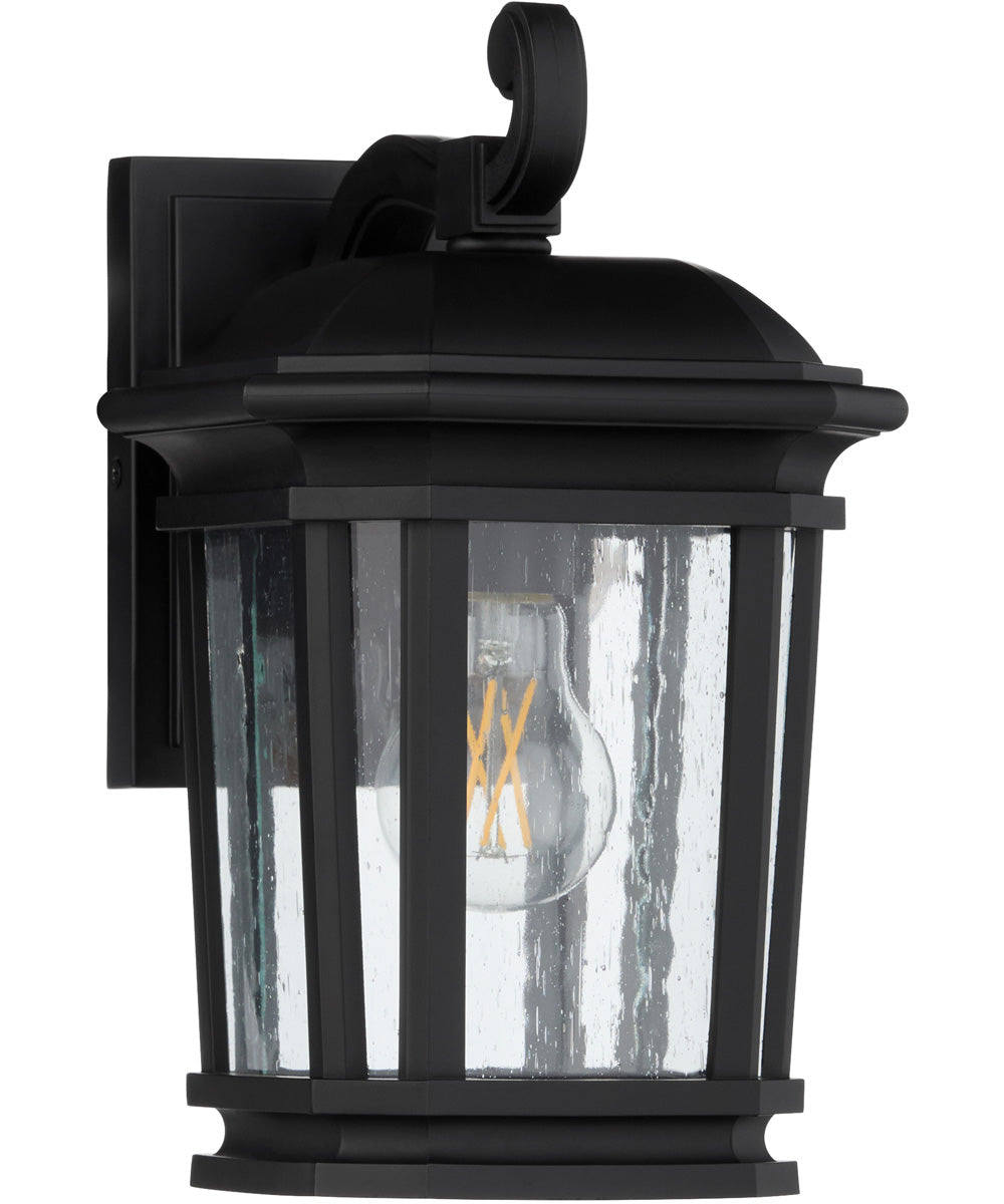 Murphy 1-light Outdoor Wall Lantern Matte Black