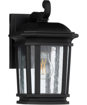 Murphy 1-light Outdoor Wall Lantern Matte Black