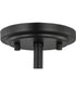 Adley 3-Light Etched White Glass Semi-Flush Convertible Light Matte Black
