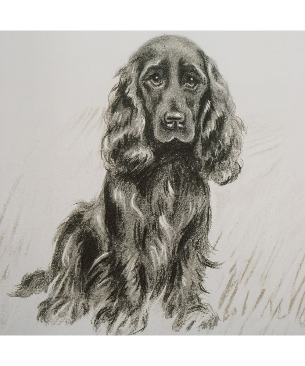 Loyal Companion Framed Dog Prints, Set of 9