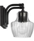 Destin 1-Light Vanity & Wall Black / Silver Accents