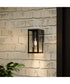 Ryle 1-Light Small Wall Lantern with Clear Glass Panels Matte Black