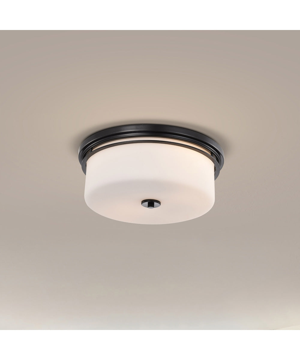 Warren 2-Light Close-to-Ceiling Gun Metal