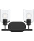 Reines 2-Light Bath Vanity with Clear Glass Shades Matte Black