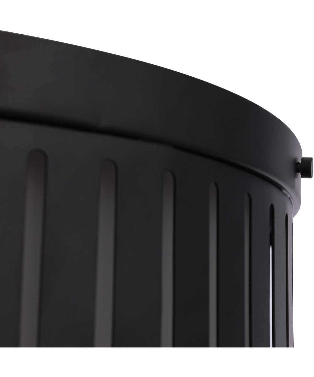 Livingston 3-Light Lighting Flat Black