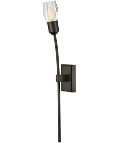 Atera 1-Light Large Single Light Sconce in Black Oxide