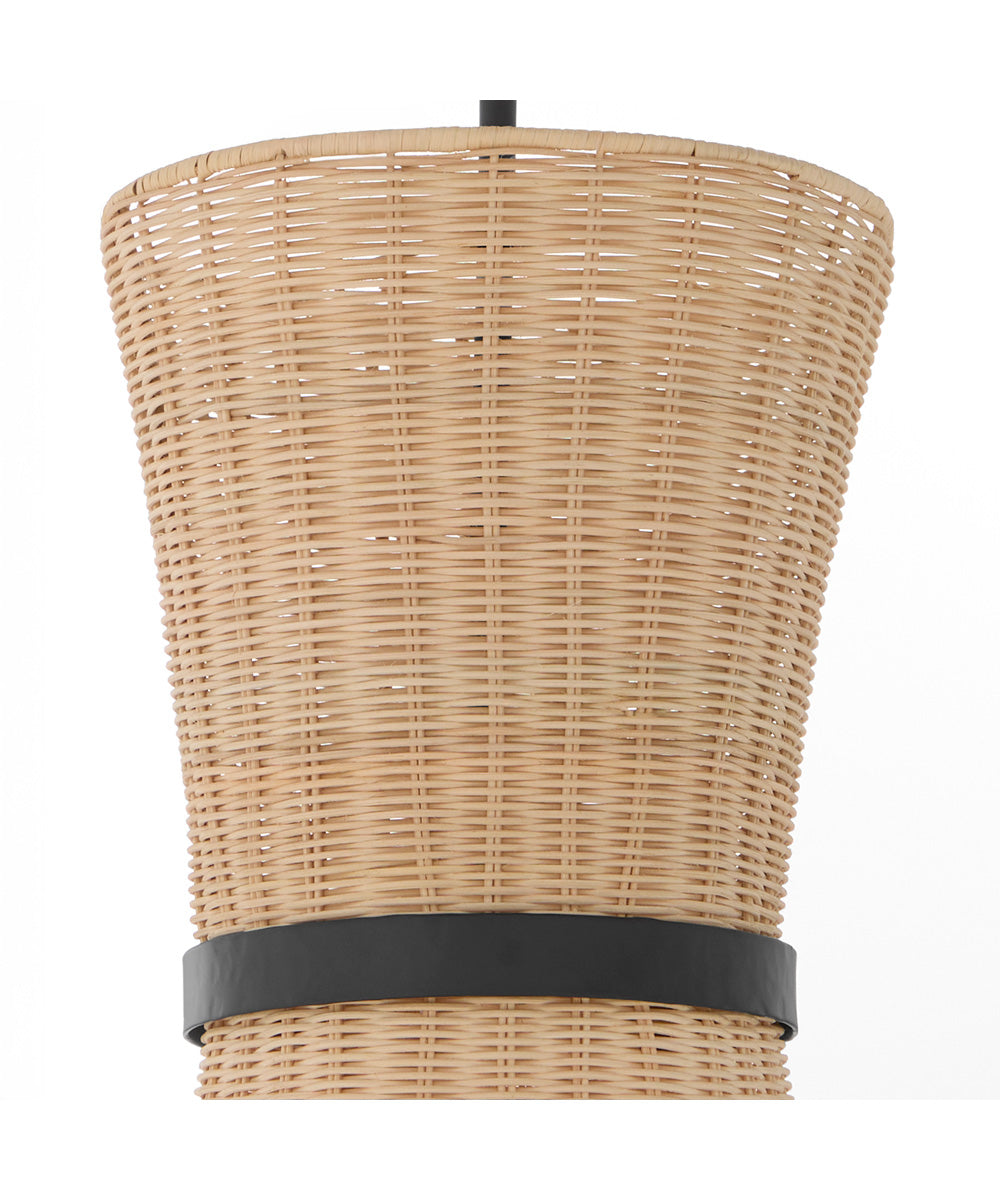 Fairview 2-light Pendant Matte Black