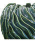 Veridian Ridge Indoor-Outdoor Vases Set of 2