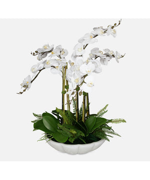 Flourish Orchid Centerpiece