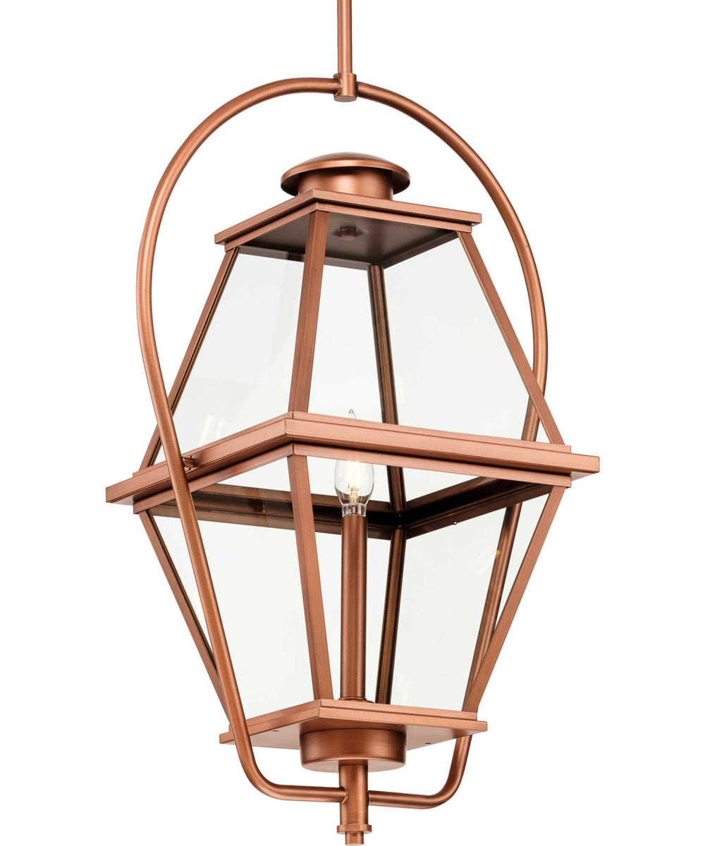 Bradshaw 1-Light Clear Glass Transitional Outdoor Hanging Lantern Antique Copper
