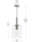 Reines 1-Light Pendant with Clear Glass Shade Brushed Nickel