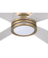 Rhett 52" 4-Blade Indoor/Outdoor Ceiling Fan Damp Rated 1-Light Fan Satin Brass