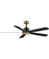 Daisies 60 inch 5-Blade Fan w LED Black / Gold