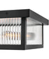 Torrent 2-Light Medium Flush Mount in Black