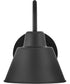 Wes 1-Light Small Gooseneck Barn Light in Black