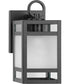 Parrish 1-Light Clear Etched Glass Modern Craftsman Outdoor Small Wall Lantern Matte Black