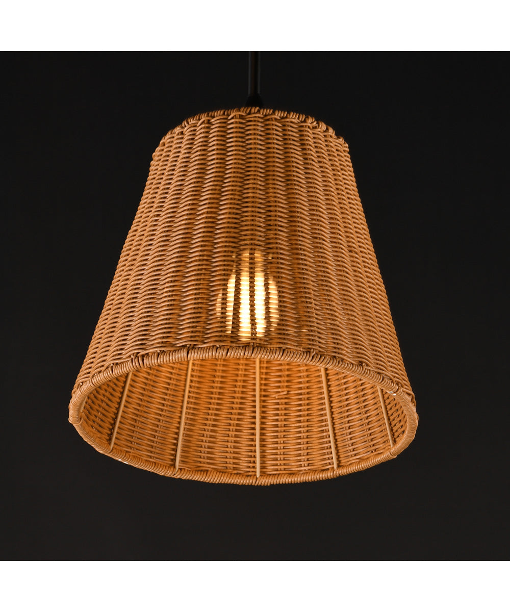 Baja 12 inch Single Pendant Dark Bronze