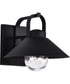 Ridge 1-Light Outdoor Black